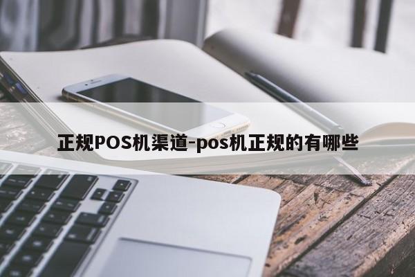 天柱正规POS机渠道-pos机正规的有哪些